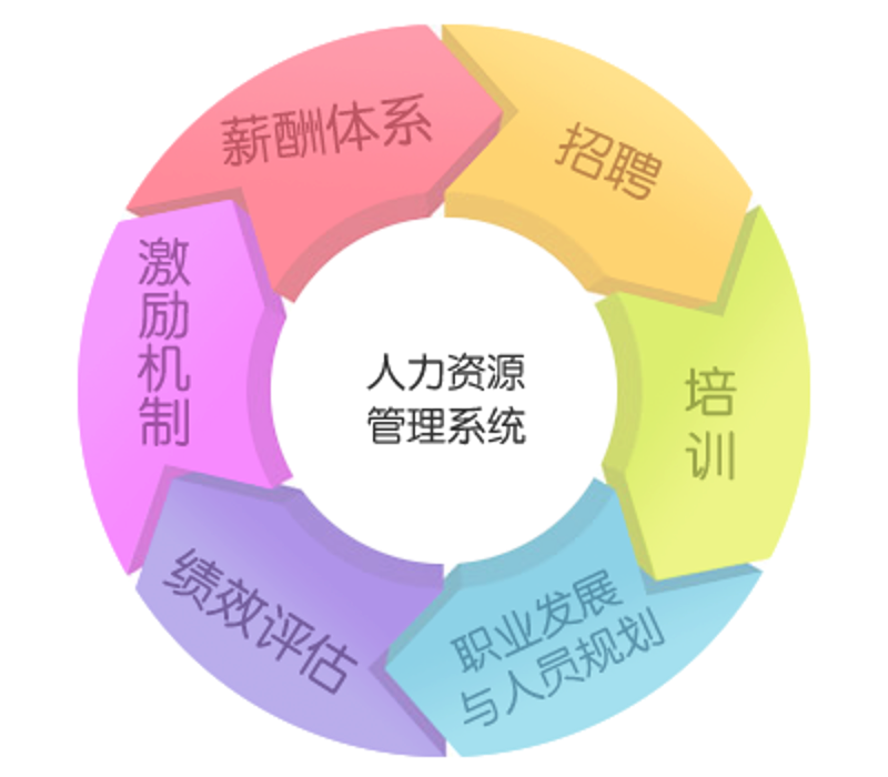 企业组织架构：构建高效的‘心脏’
